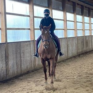 Meet your Posher, Emma!